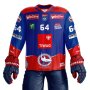 HC Innsbruck Fantrikot 2025/2026 - [SENIOR]  M